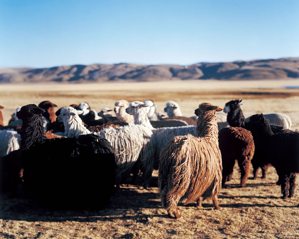 muji大牌推荐,muji十大必买产品