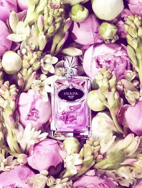 迷倒众生的7款花朵香水,女人如花花似梦全文免费阅读