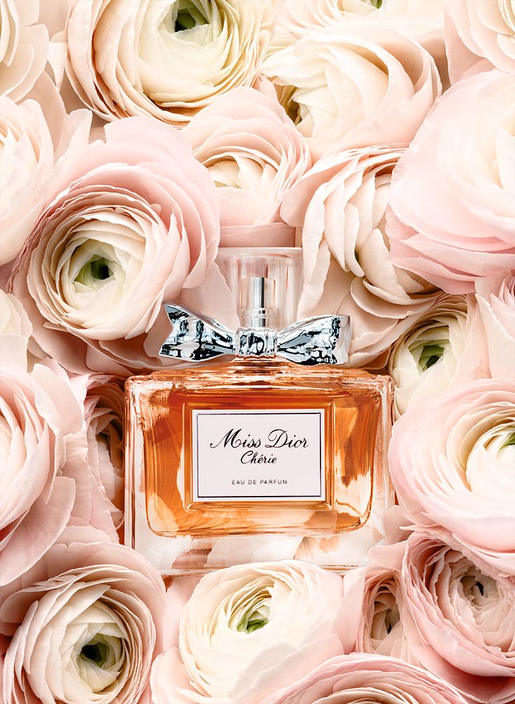 迷倒众生的7款花朵香水,女人如花花似梦全文免费阅读