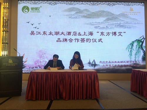 博艾馆艾灸养生,东方博艾艾灸养生仪