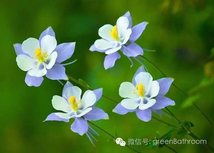 掌握正确施肥方法,如何正确操作施肥