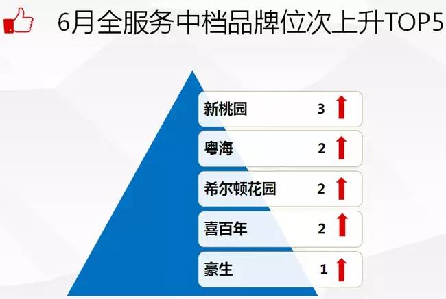 2016年住宿业市场范围,2018年中国酒店业