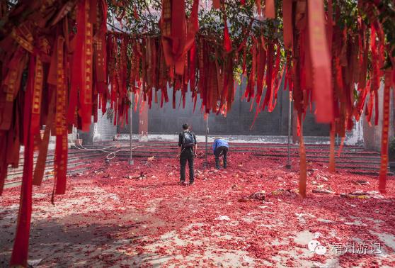 我们真的低估了2016年龙母诞的魅力，没去现场的你后悔了吗？