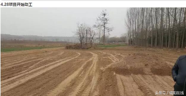 咸阳姜嫄水乡简介,咸阳武功镇姜嫄水乡图片