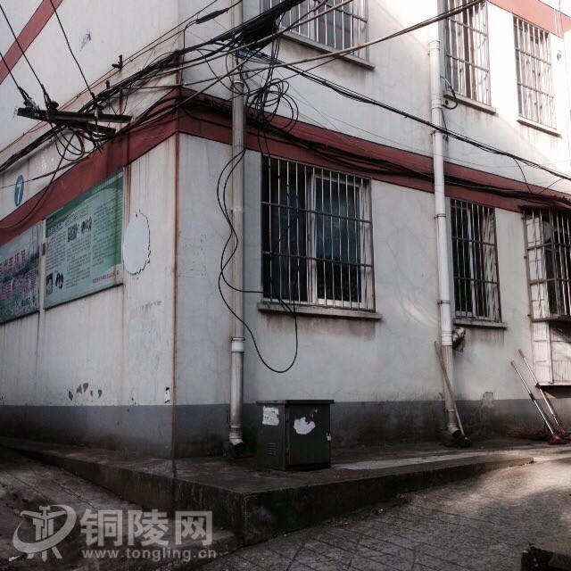 这么热的天大家都去哪玩,这么热的天大家都在干什么