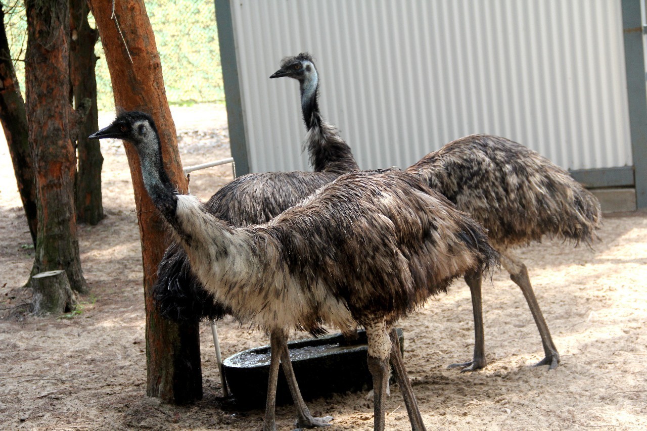 路虎揽胜漳州,揽胜海洋之心