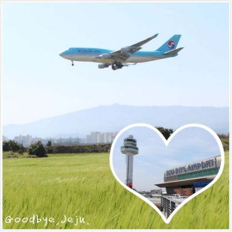 韩国济州岛带娃旅游攻略,首尔和济州岛哪个适合亲子游