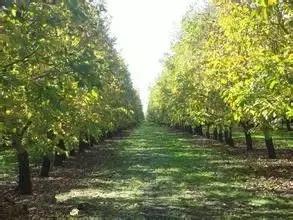 云南最宜居的三座小城,云南这几个小众宝地别错过