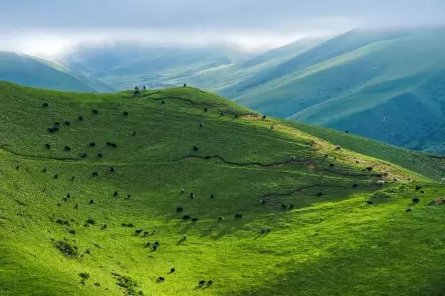 云南最宜居的三座小城,云南这几个小众宝地别错过