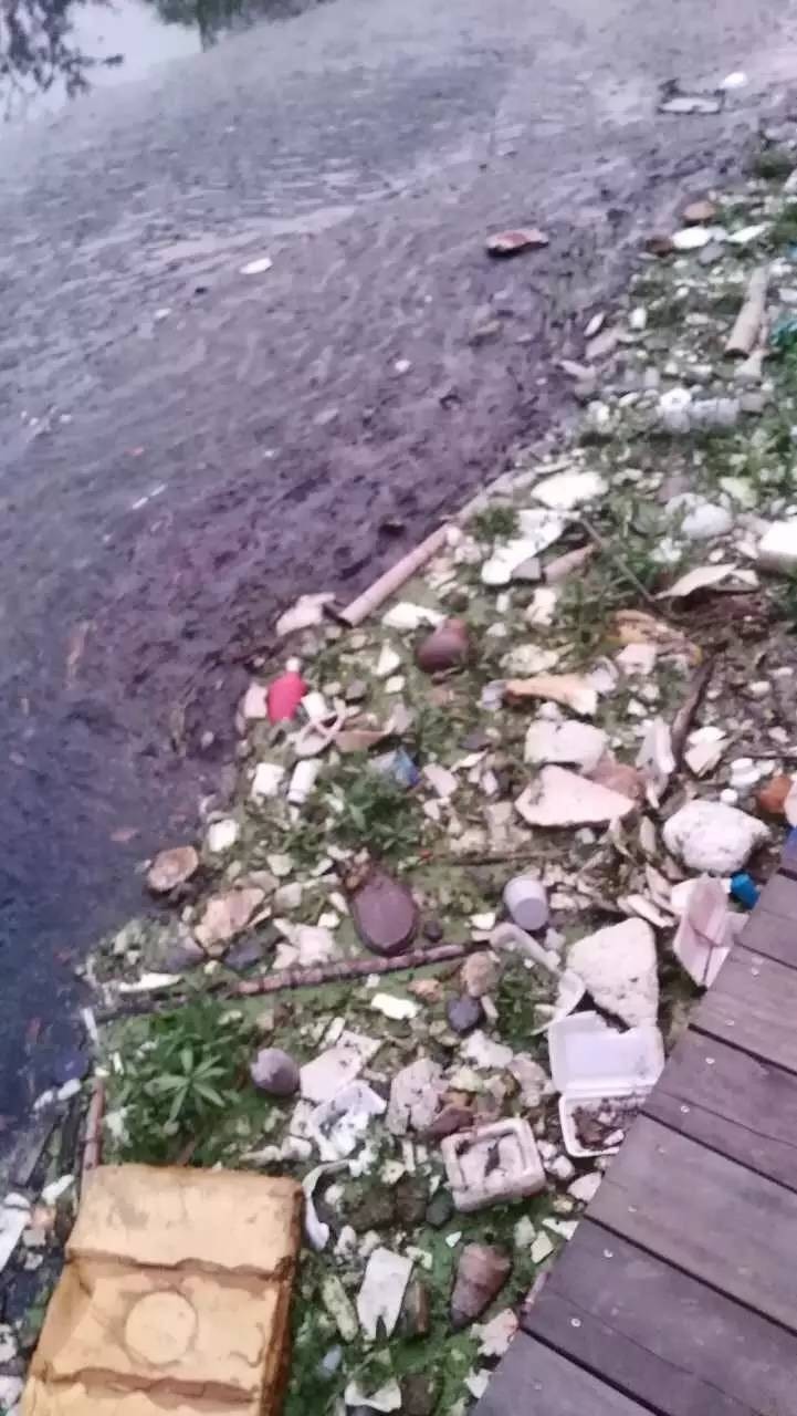 这么热的天大家都去哪玩,这么热的天大家都在干什么