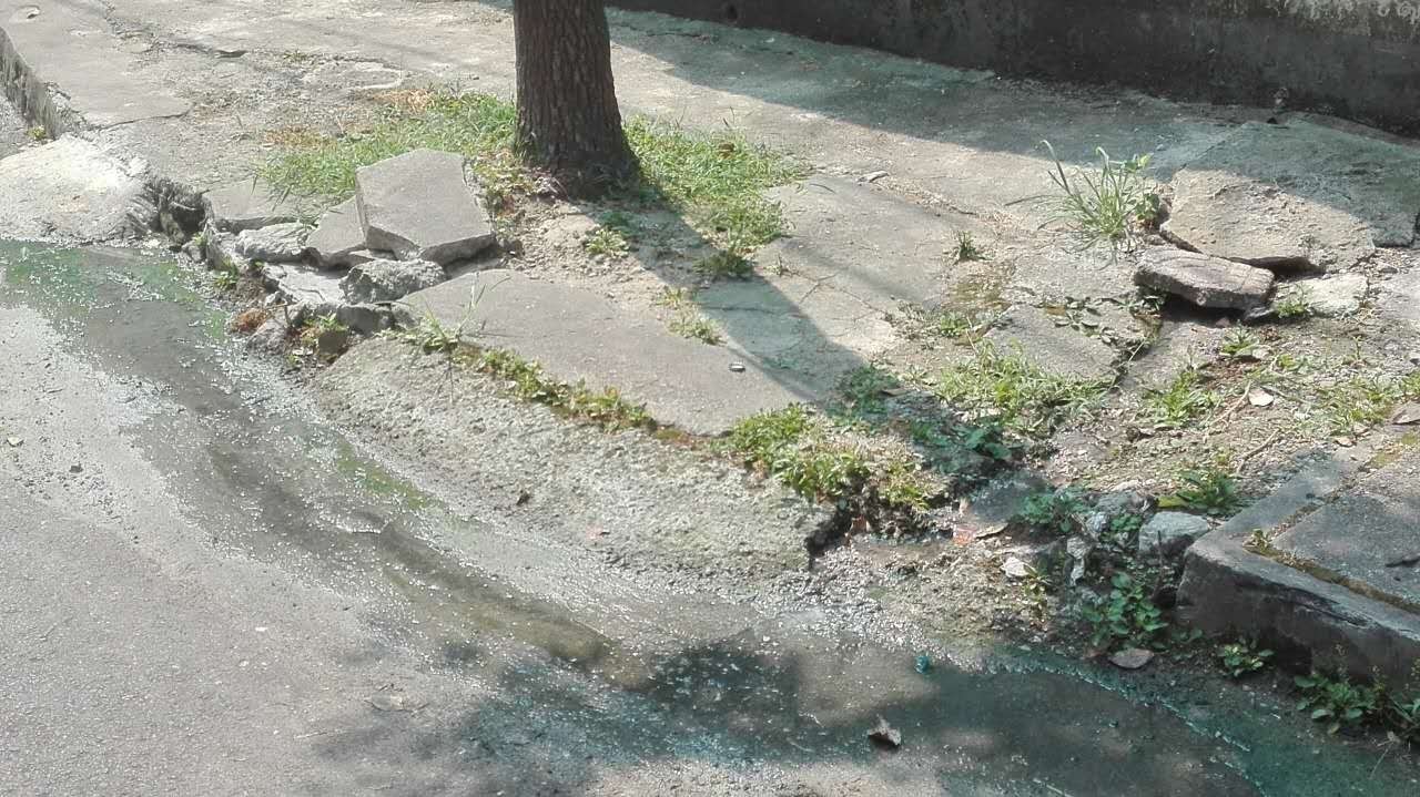 这么热的天大家都去哪玩,这么热的天大家都在干什么