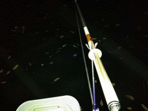 深夜垂钓星露谷,深夜垂钓