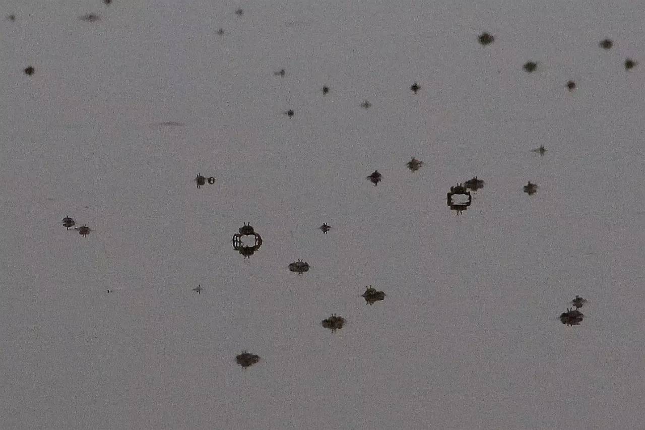 路虎揽胜漳州,揽胜海洋之心