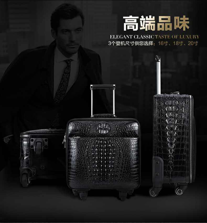 怪才小龙陈星,怪才小龙的歌