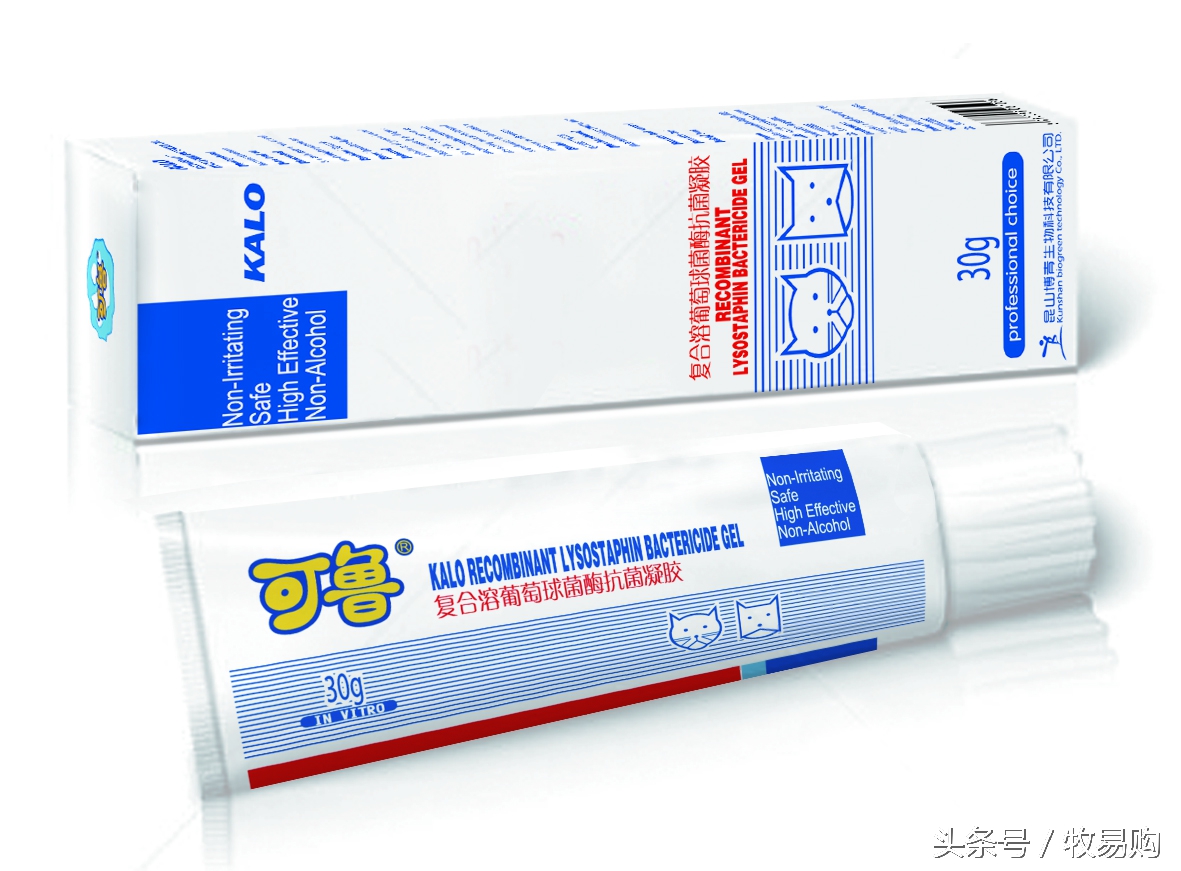 狗狗脓皮症掉毛最有效的治疗办法,狗狗得了皮肤病可以抹药膏吗