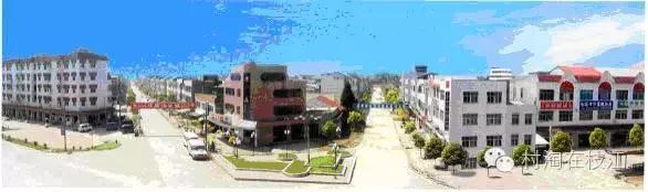 80后姑娘在农村创业,九零后农村姑娘创业故事