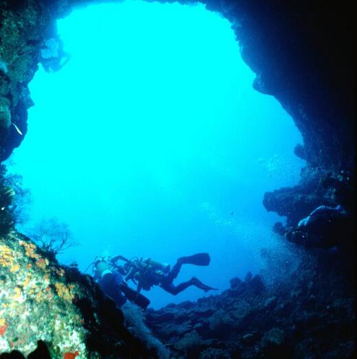 与死神一起共舞,与死神战斗的游乐项目