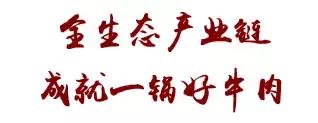 一帮吃货,一群吃货在一起会发生什么