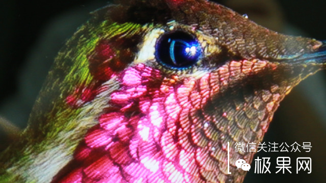 thinkpadx1平板二合一,thinkpadx1和苹果笔记本