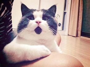 余文乐有几段恋情,余文乐晒合影疑公开恋情