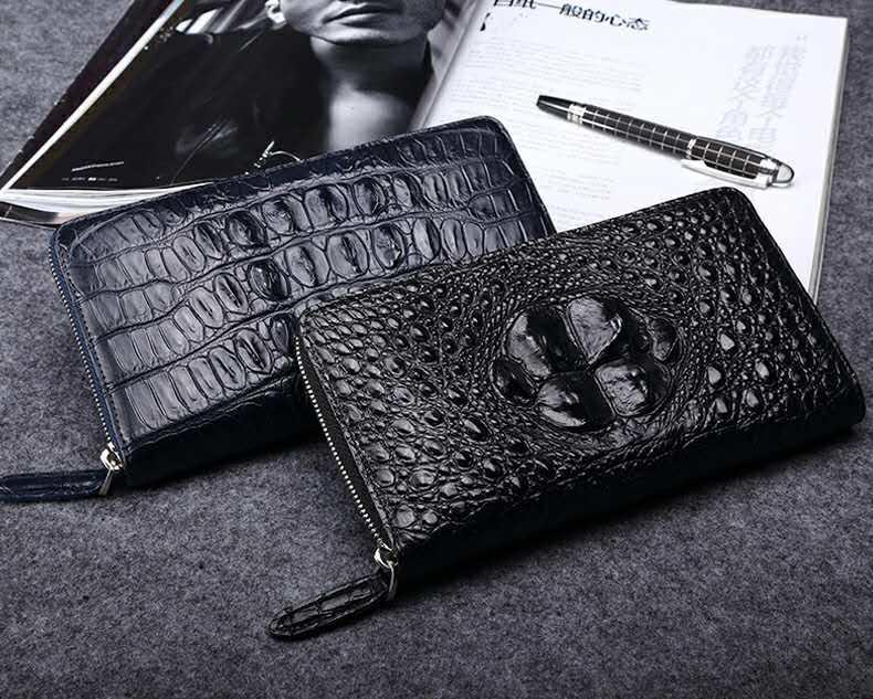 怪才小龙陈星,怪才小龙的歌