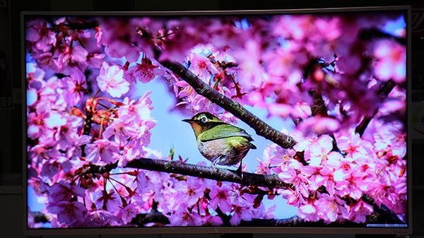 怎样选购4k大屏电视,为什么要买4k显示器