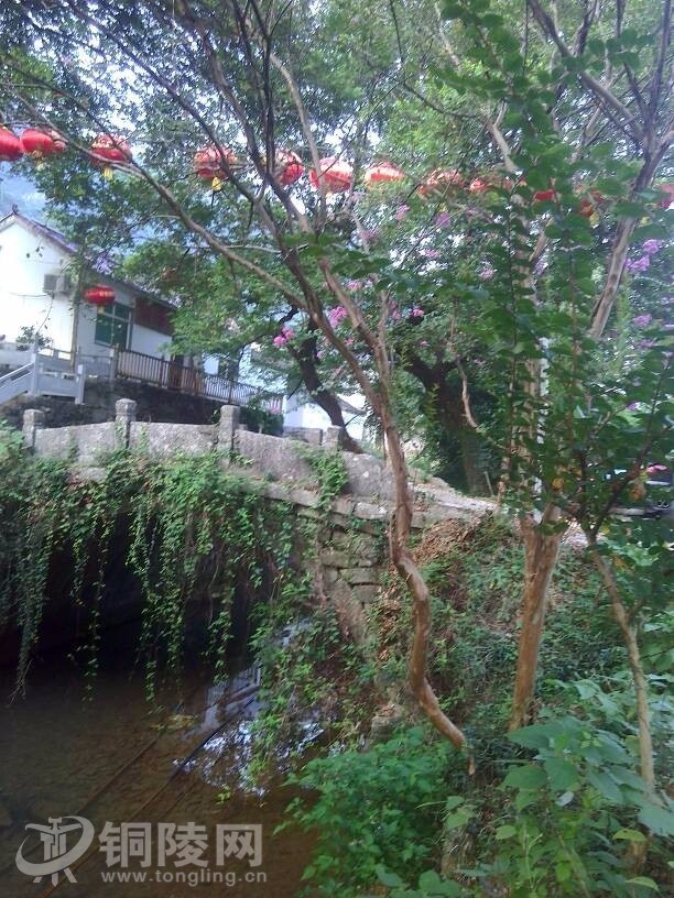 这么热的天大家都去哪玩,这么热的天大家都在干什么