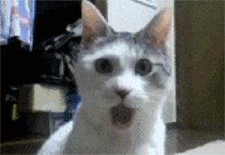 风油精怎么突然火了，老司机来给你解密！