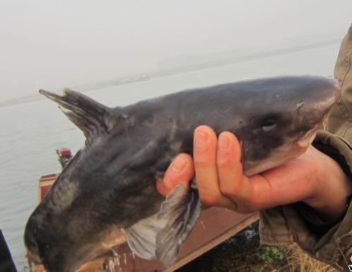 这个乡镇水很深，曾是国都后成中国第一县，慈禧还把特产搬上国宴