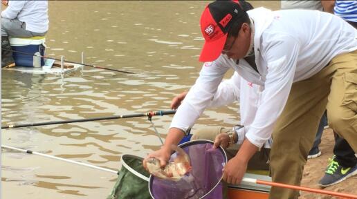 化氏新钓技,化氏钓鱼最好的钓法