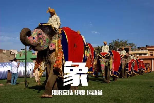 中国运动员里约遭盗抢,2016年巴西奥运会运动员东西被偷