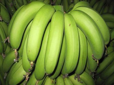 跑马拉松中可以吃香蕉吗,跑马拉松为什么要吃香蕉