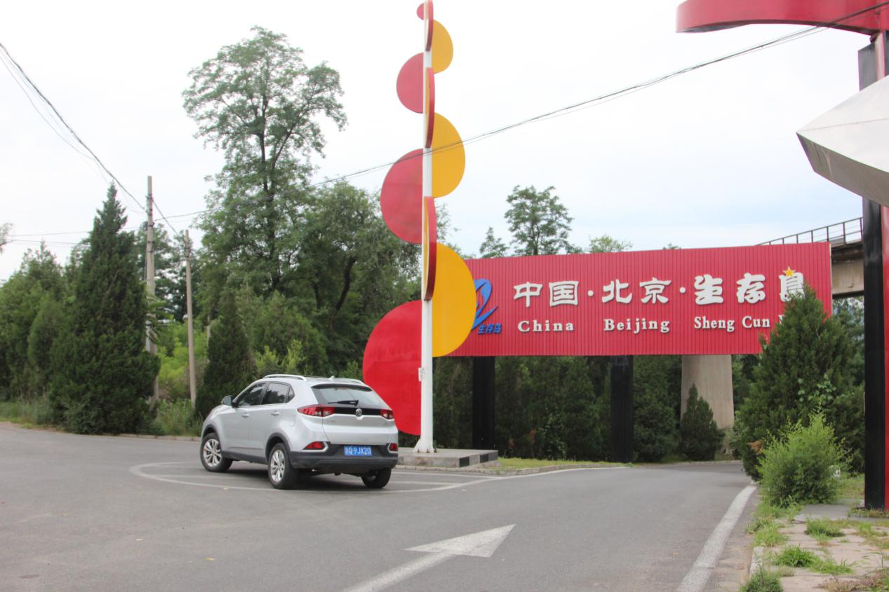 自驾游搬砖去哪里好玩,生存岛游玩攻略美食