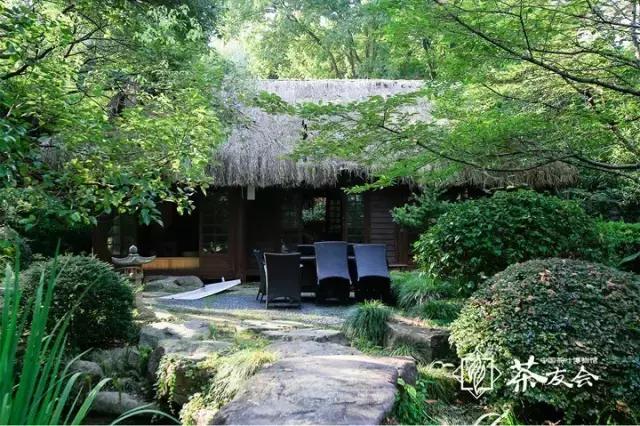 西湖边可以临湖的茶馆推荐,西湖最好茶楼排名