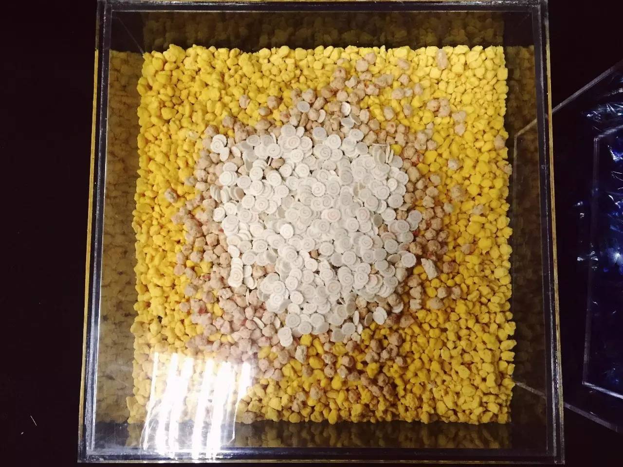 校红｜北电林宇瀚－1000多包方便面调味料作品的创造者