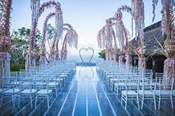 风油精怎么突然火了，老司机来给你解密！