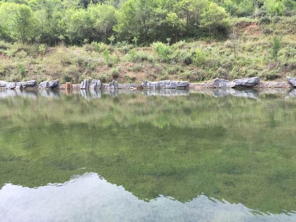 野外空手套“野鸡脖子”巨毒蛇已伏法