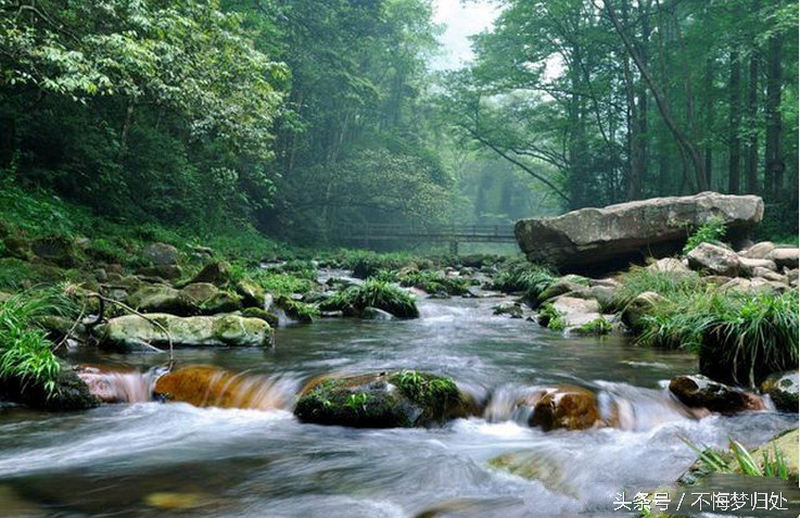 张家界自驾游vlog,张家界之旅vlog