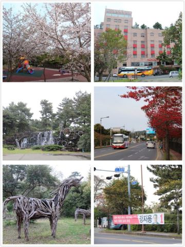 韩国济州岛带娃旅游攻略,首尔和济州岛哪个适合亲子游