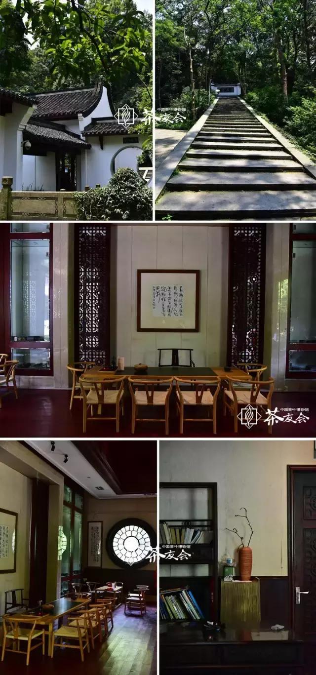 西湖边可以临湖的茶馆推荐,西湖最好茶楼排名