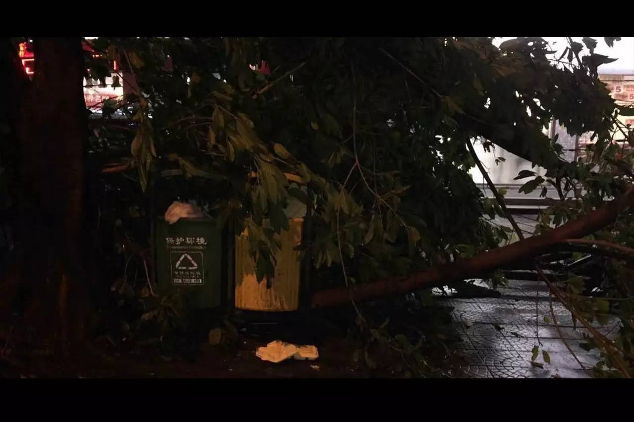 校红｜北电林宇瀚－1000多包方便面调味料作品的创造者