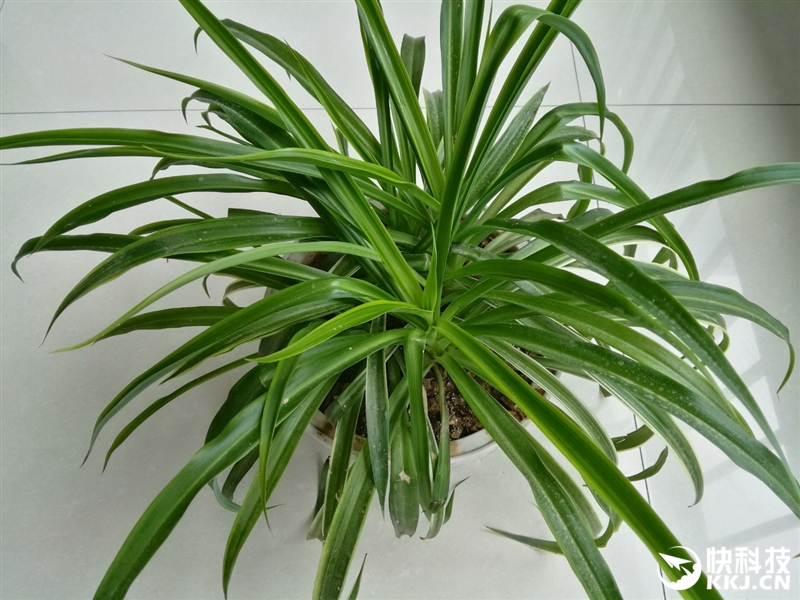 荣耀note8支持256g吗,荣耀6.5英寸高端机