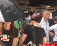 上海比较大的免税店在哪里 (上海最大的免税店在哪)