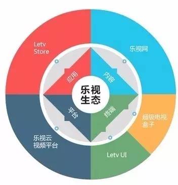 乐视是哪个家族的企业,乐视是什么公司