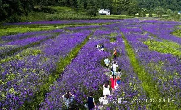重庆最偏僻最贫穷的农村,重庆最贫穷的乡镇真实情况