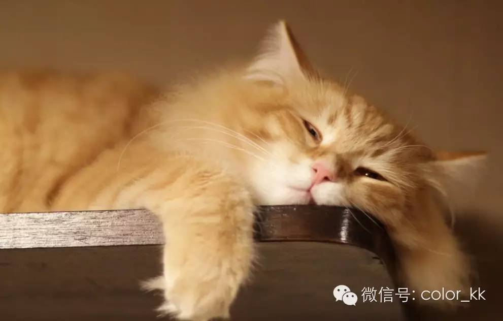 家里必买的10件物件,十二件居家小神器