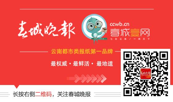 云南双扣扑克比赛,云南麻将比赛