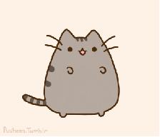 多肉包邮免费送,可爱多肉组合