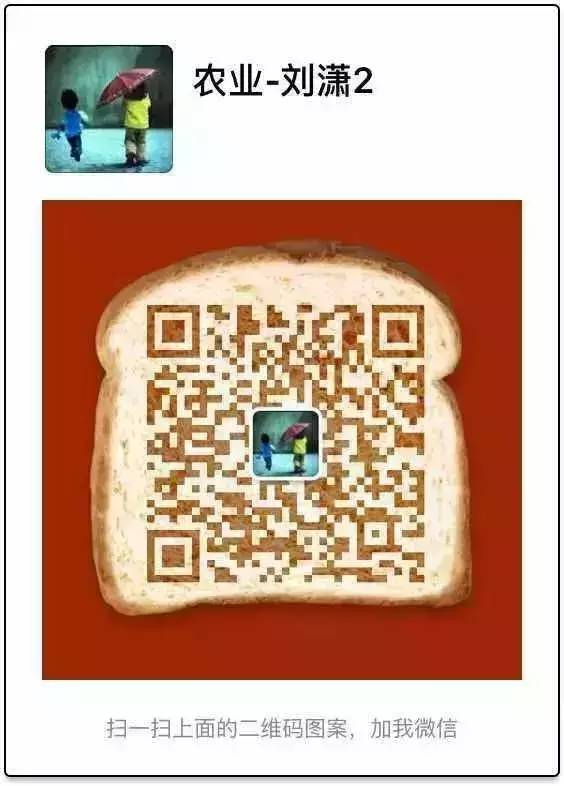 柑橘8月份病虫害防治,8月柑橘病虫害防治