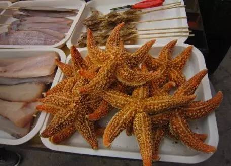 海星有的能不能吃,海星要多久才能吃